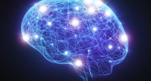 L’amore al tempo delle neuroscienze