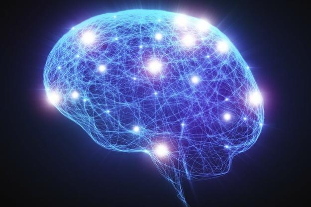 L’amore al tempo delle neuroscienze