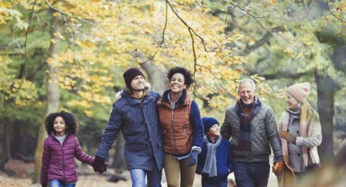 Le quattro forze emotive che plasmano ogni famiglia